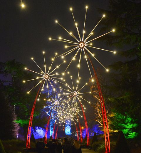 Les jardins de Kew s'illuminent pour Noël