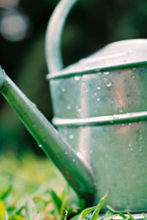 seule gouttelette d'eau tombant d'un arrosoir sur l'herbe