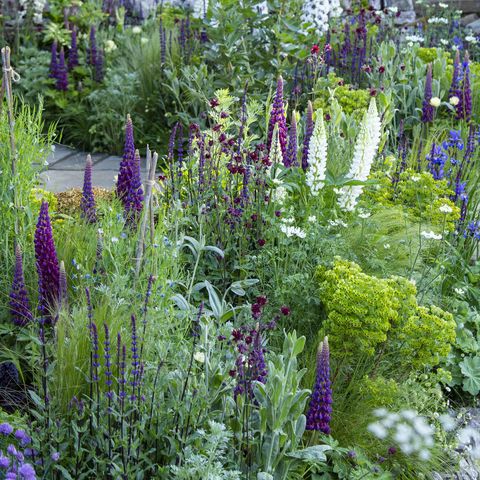 schémas de plantation de jardin bienvenue au yorkshire garden