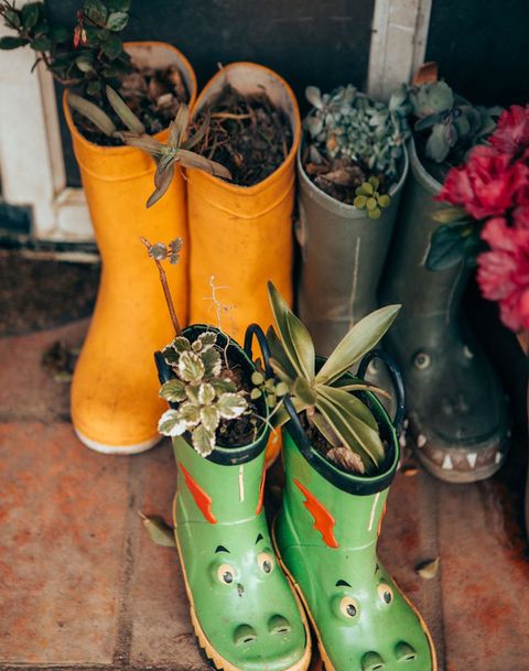 bottes wellington utilisées comme pots de plantes