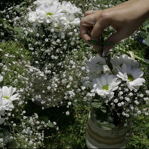 זרי חיננית לבנים בצנצנות