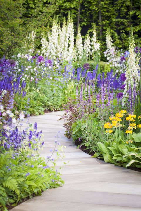 parterre de fleurs