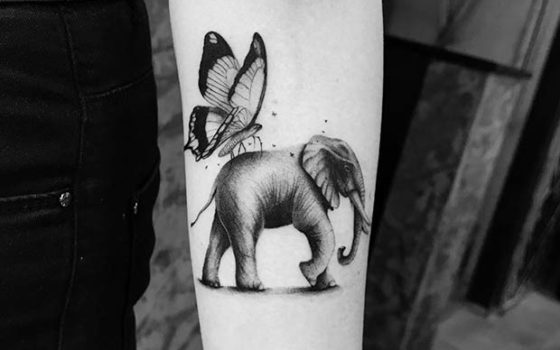 61-cool-and-creative-elephant-tattoo-ideas-6[1]